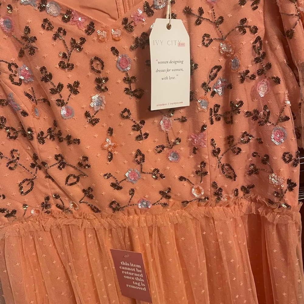 NWT Ivy City Co Milan Dress in Sorbet 1X - Picture 2 of 3